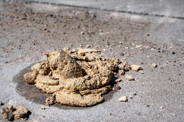 Cost of Driveway Slab Leveling in North Canton